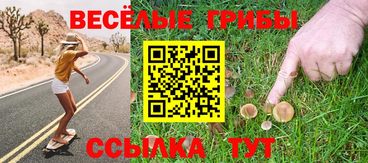 Псилоцибиновые грибы MAGIC MUSHROOMS  Вход с VPN  Ревда 